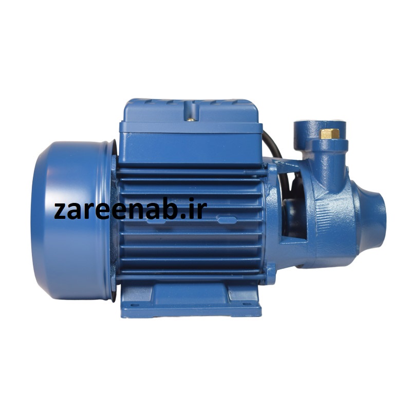 پمپ آب نیم اسب راین