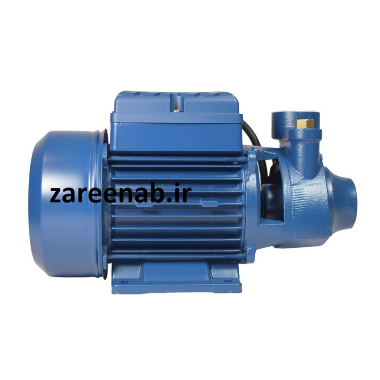 پمپ آب نیم اسب راین